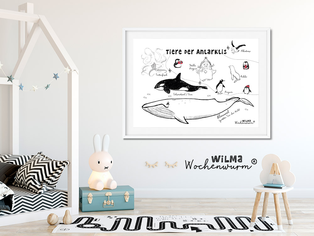 Selbstwert Kinder stärken Stella ist still Gefühle Wilma Wochenwurm Weihnachten Kita Kindergarten Grundschule Südpol Antarktis Poster Kinder Identität Pinguin Wal Poster